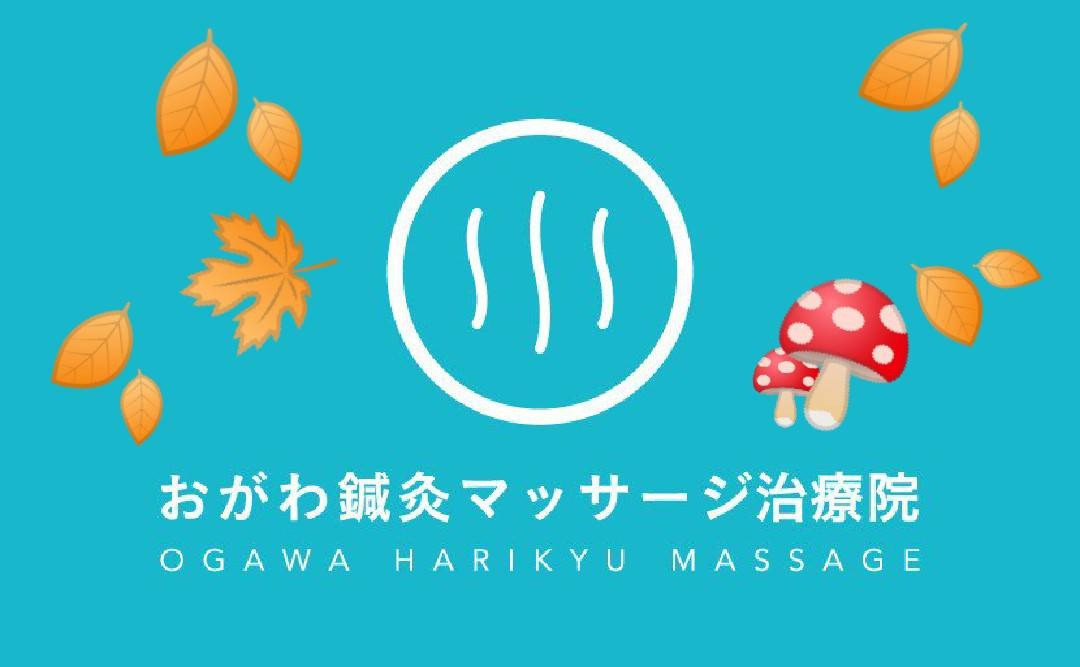 肩こりで悩みなら！！ 松戸市上本郷駅より徒歩７分 おがわ鍼灸マッサージ治療院　11月30日の予約状況